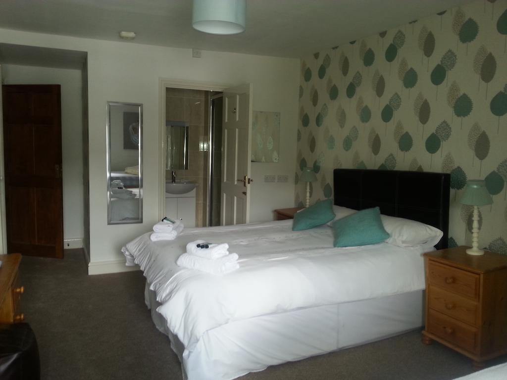 Red Lion Hotel Ystrad Meurig Habitación foto